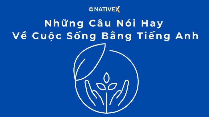 Hinh anh mot nguoi dang ngoi lang le suy ngam de kham pha ban than va y nghia cua cuoc song